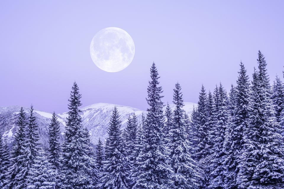 winter, winter storm, cold months, diseases, mundonow