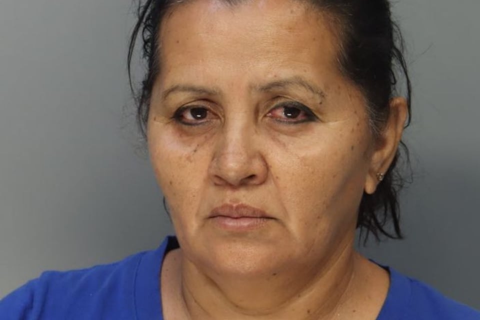 Florida woman arrested after unrestrained toddler was seriously injured in car accident