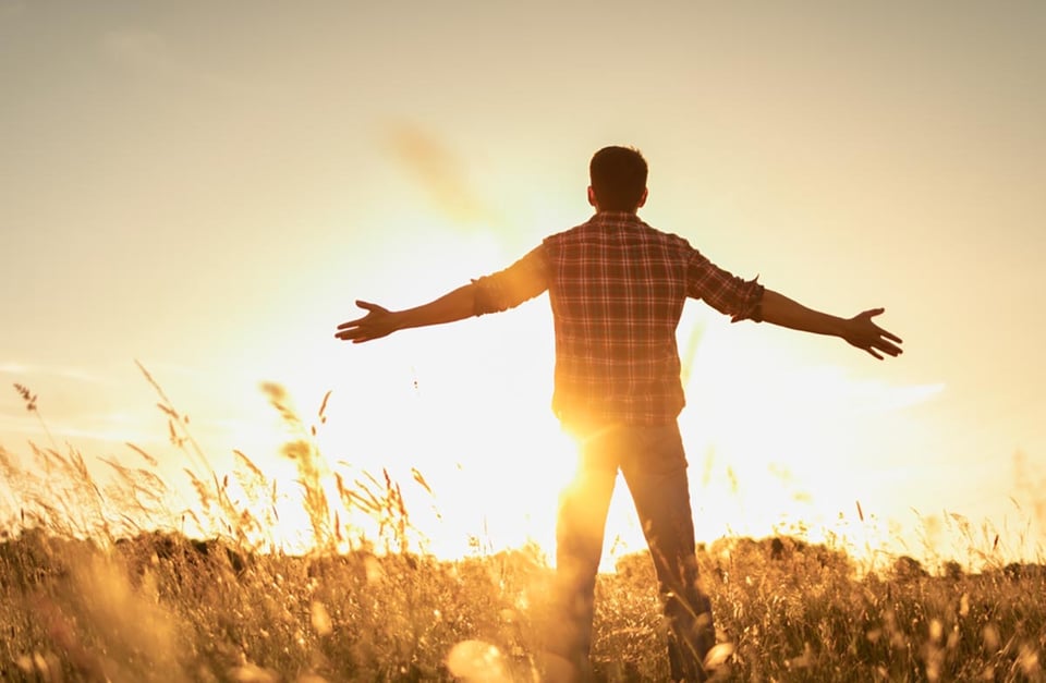 felicidad, hombre, cirugía de mama, concepto, campo