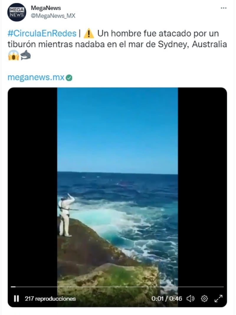 Shark eats alive swimmer: The creature reaches it to devour it