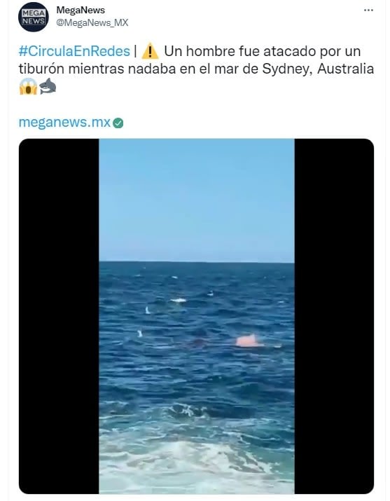"We heard a scream and turned around"