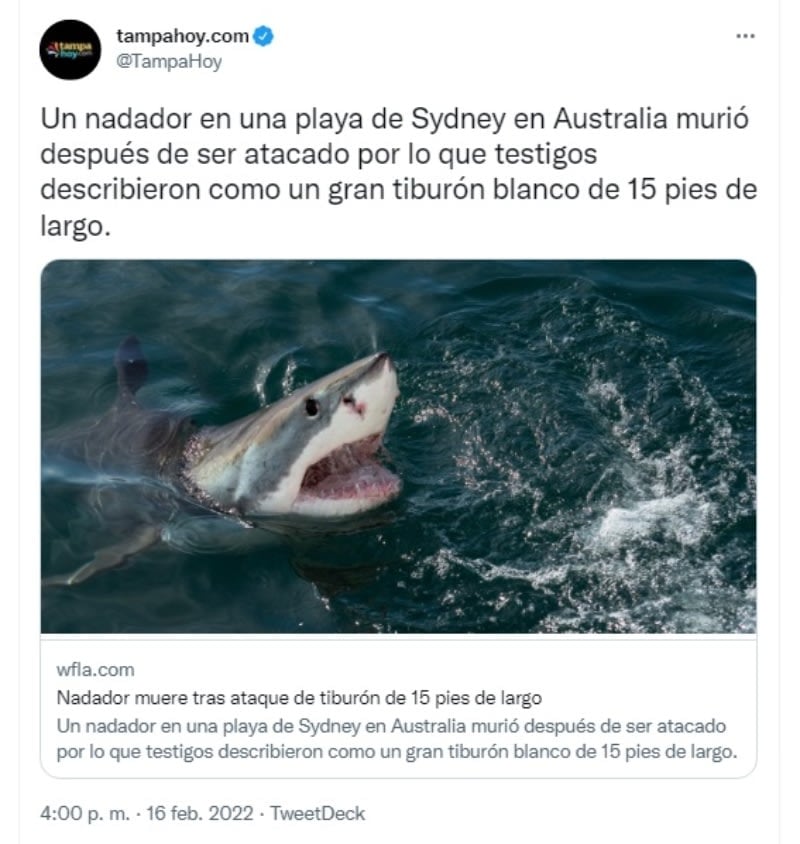Shark eats swimmer alive