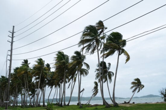 Clima, Lo último, Autoridades, Storm, Estados Unidos