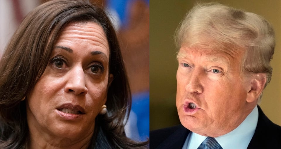 Trump acusa a Kamala Harris de ser la ‘culpable’ de la caída de la bolsa featured image