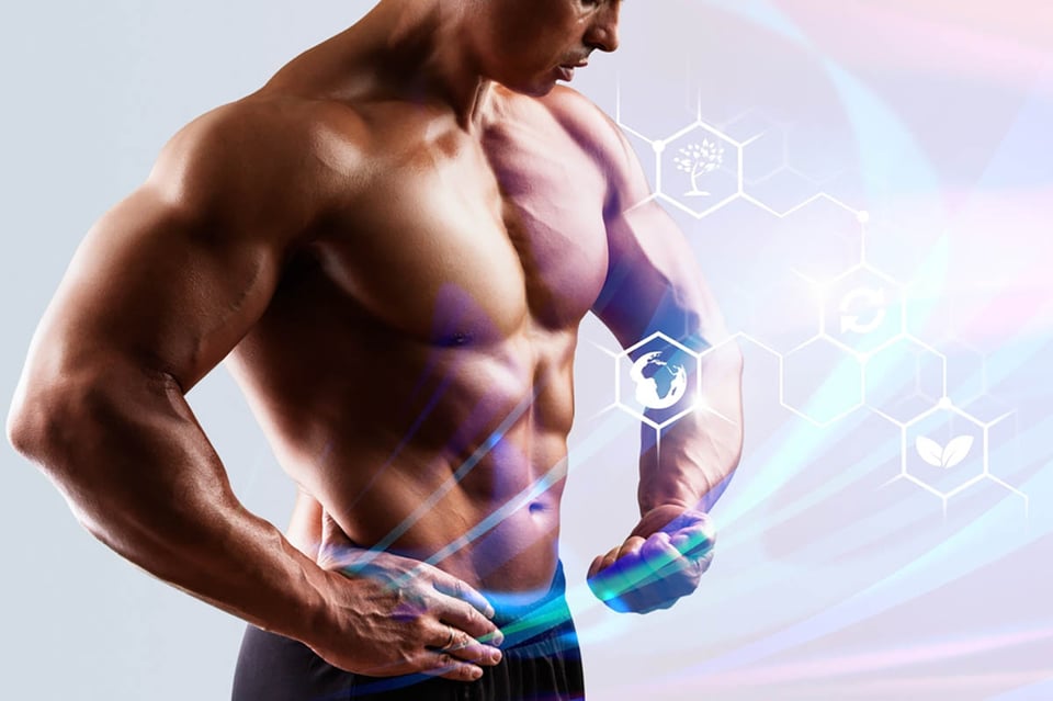 Verdades sobre la testosterona: comprensión del equilibrio hormonal y el bienestar masculino
