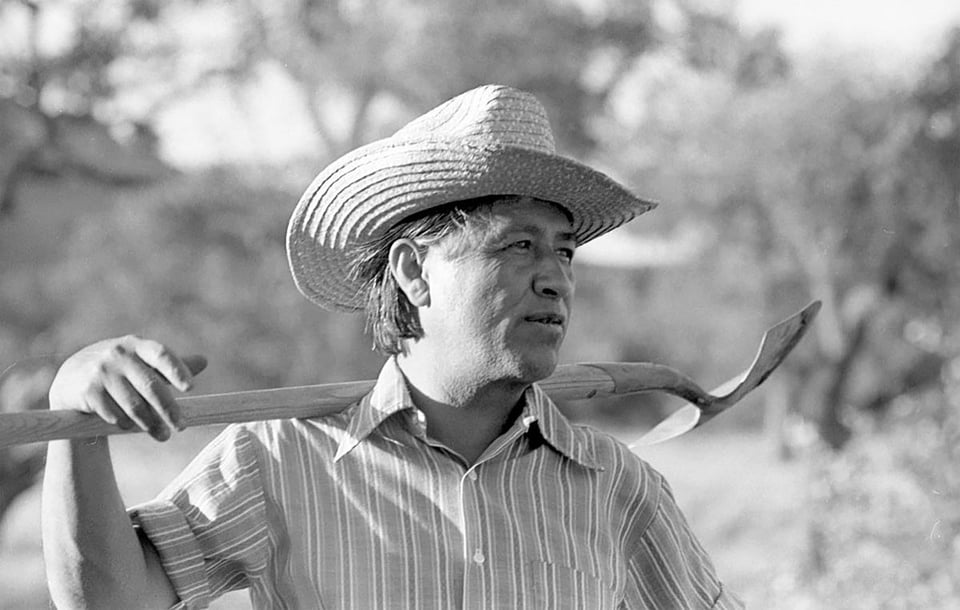 derechos laborales, trabajadores agrícolas, agricultores, hispano, trabajadores agrícolas unidos, legado de César Chávez