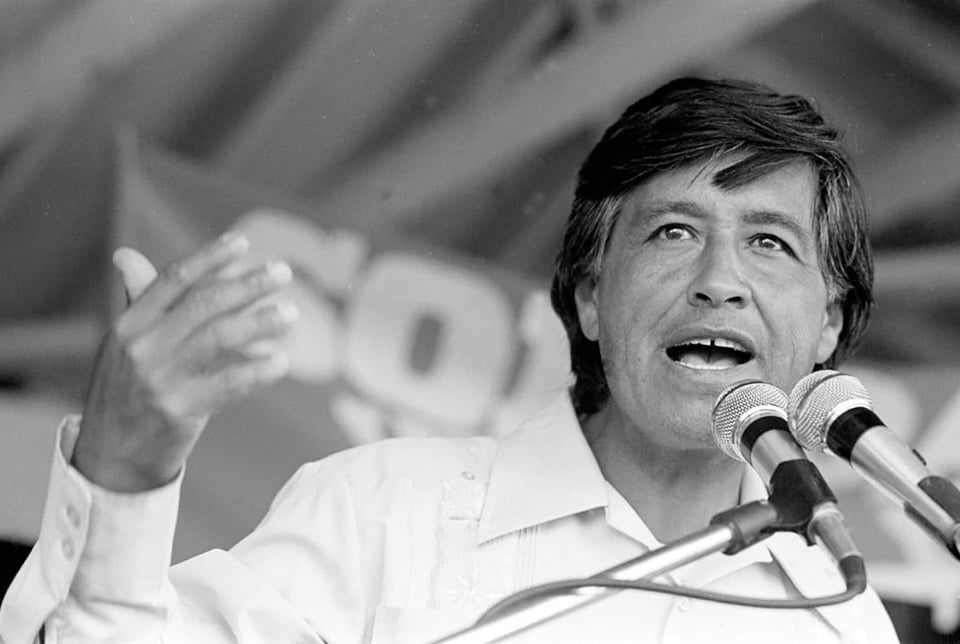 política, activismo, líderes latinos, sindicatos, organización