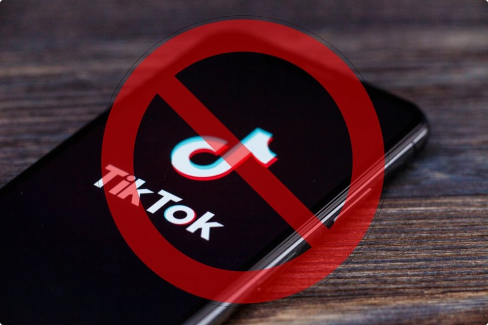 US House bans TikTok- Lower House, ban- ban, tiktok, videos, China, Lower House, MundoNOW