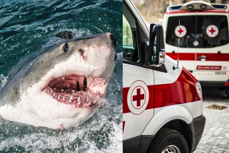 Tragedia en Filipinas: turistas rusos mueren en accidente de buceo