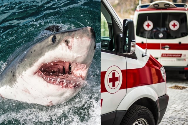 Tragedy in the Philippines: Russian Tourists Die in Diving Accident