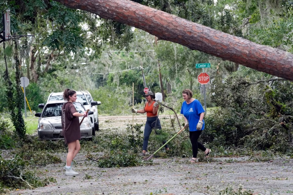 Florida, árbol caído, carretera, tormenta, camino, Idalia