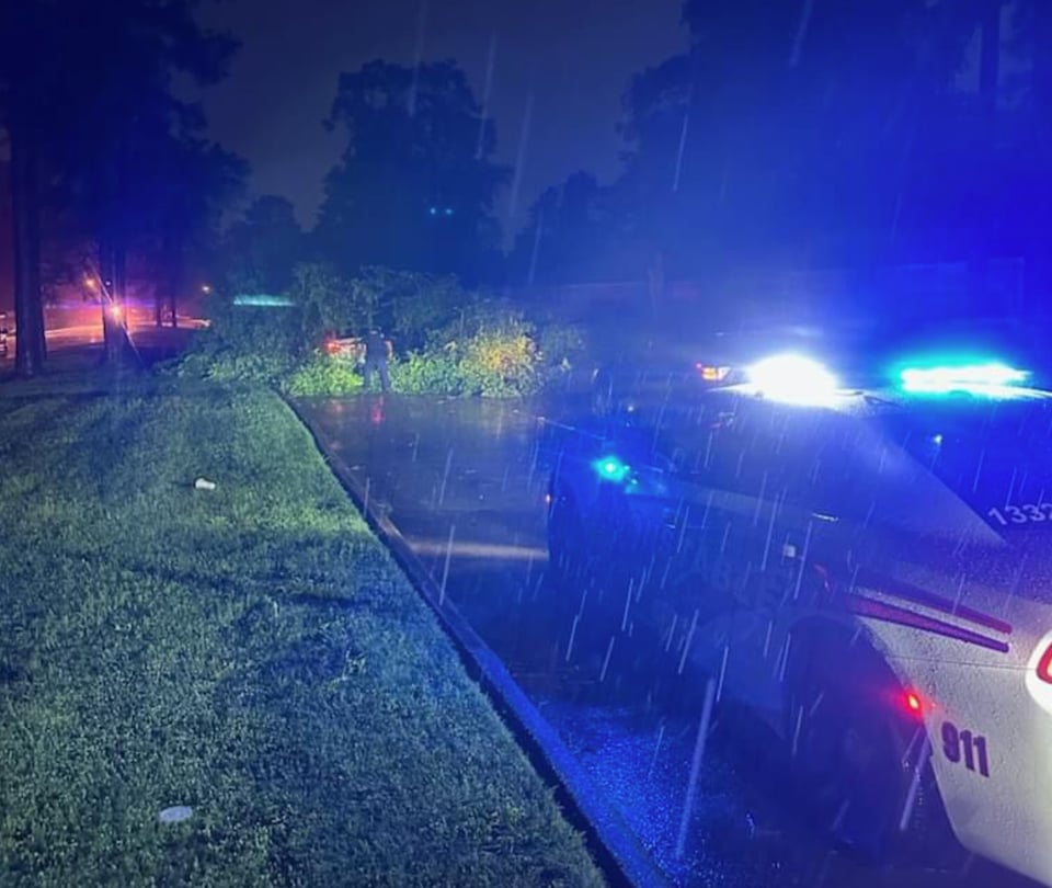 policía, cárcel, prisión, crimen, delito