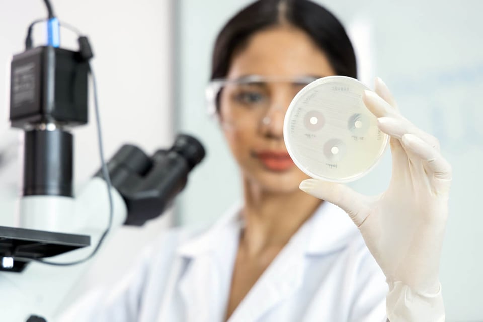 científico, mujer, laboratorio, muestra, ciencia, SARM