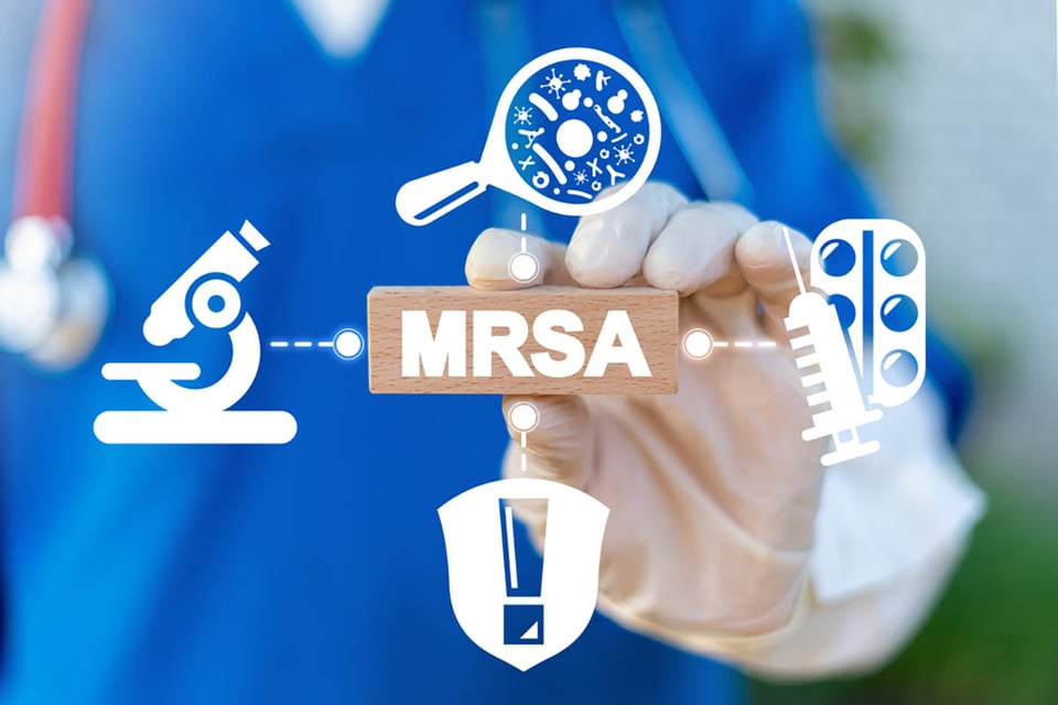 Staphylococcus aureus, Infección, Medicamento, Resistente a meticilina, Concepto