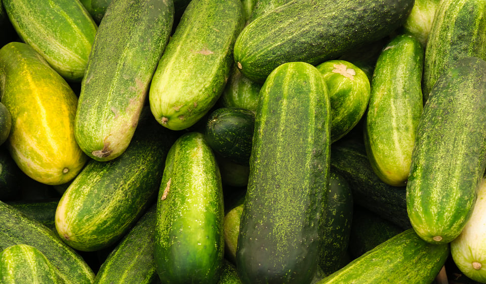 Retiro de pepino,salmonela,fda.recalls,mundonow