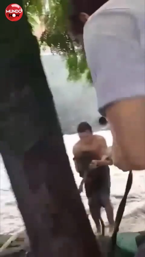 rescata a perrito