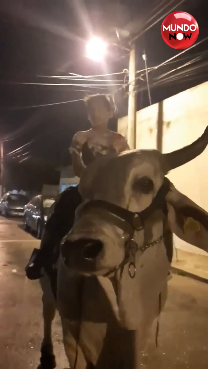 riding a bull