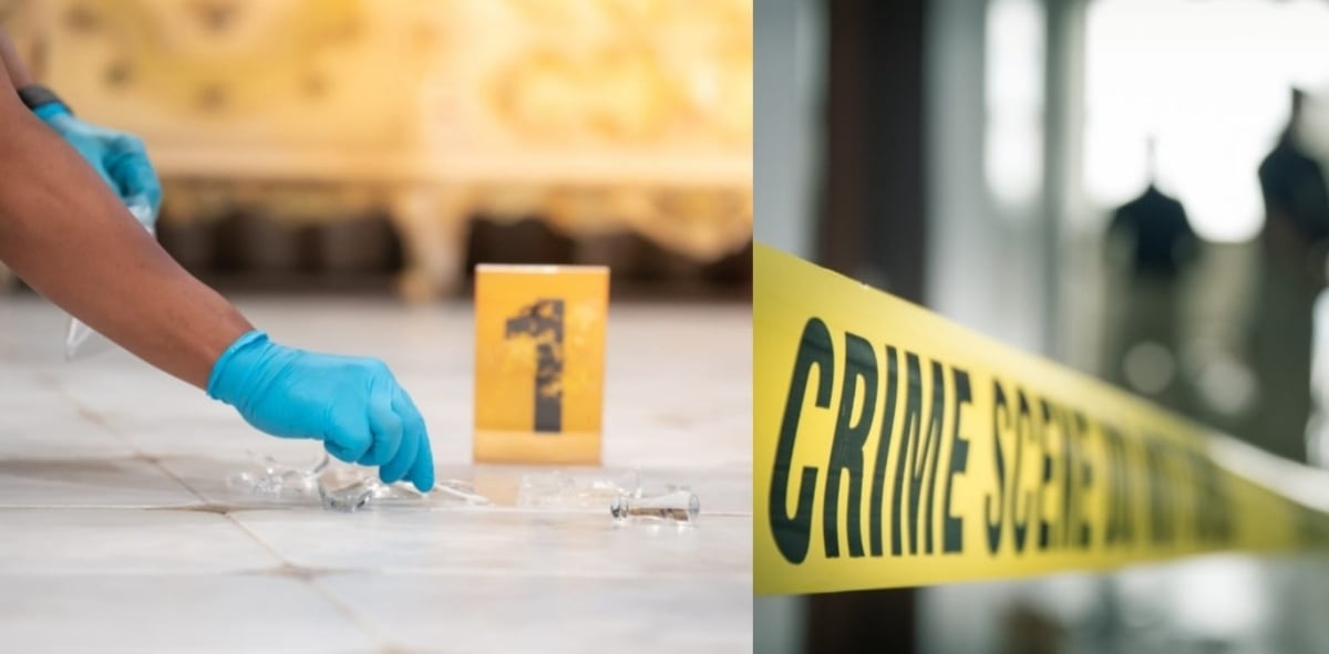 ¿Por qué Vielka Pulido era conocida como Lady Humilladora?