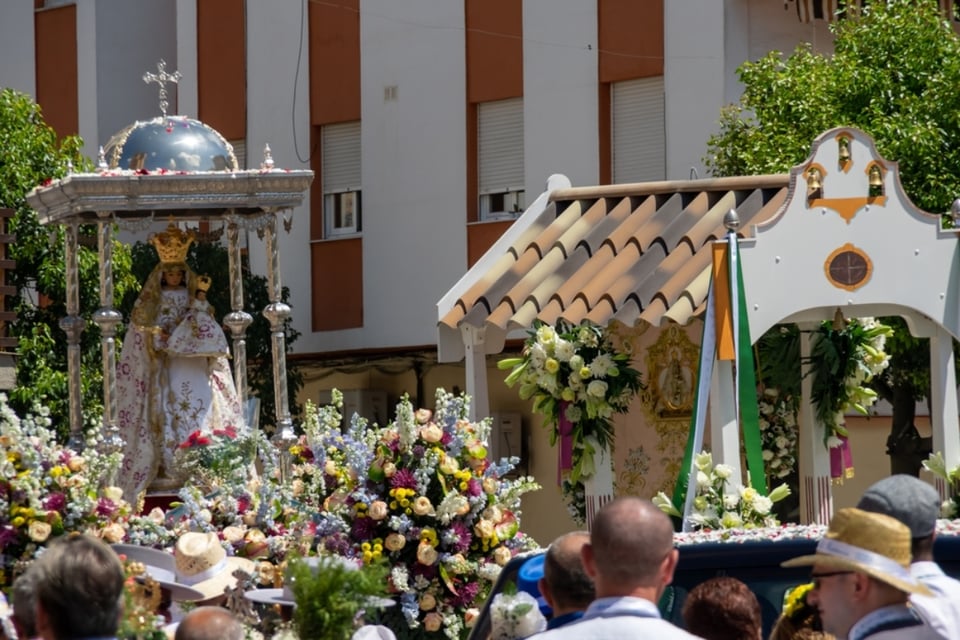 religious phenomenon, devotees, testimonies, great miracle, Diocese investigation