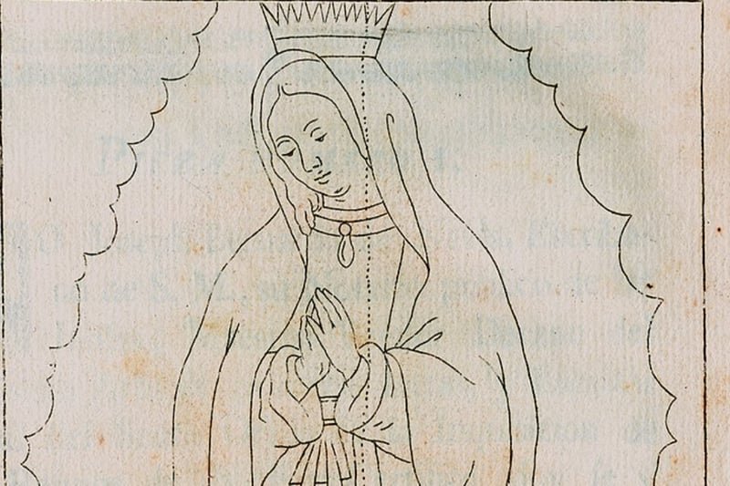 Indio, anciano, hombre joven, hombre barbado, MundoNOW