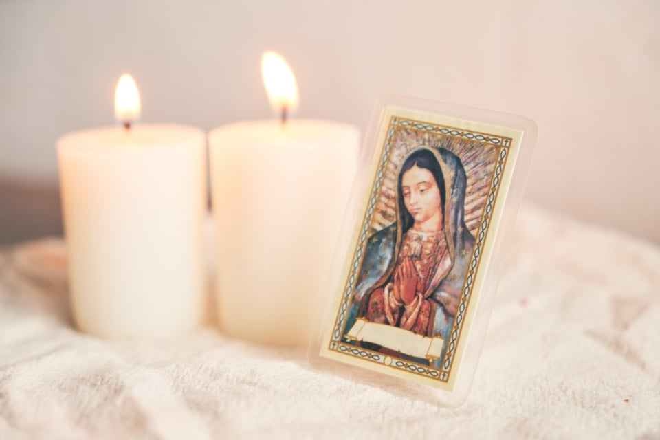 Virgen de Guadalupe, amor, devoción filial, bendición, MundoNow