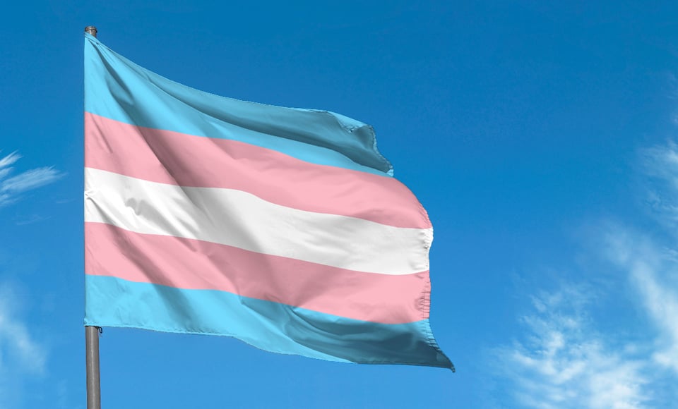 Abusada, sexualmente, hombre, niñez, transición