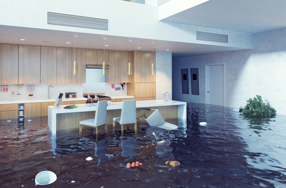 flood damage, house, dining room