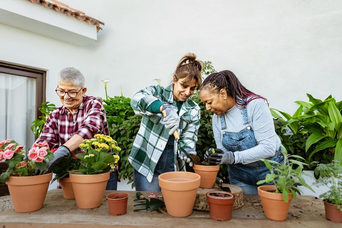 Plantas de otoño: las mejores plantas para un jardín de otoño