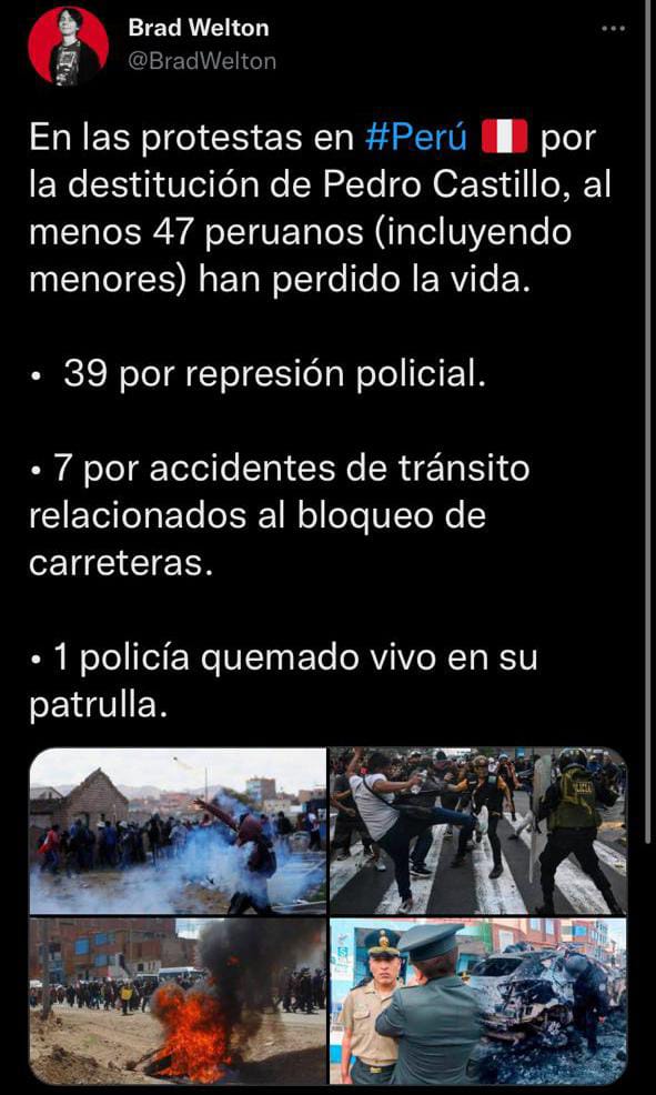 Las protestas se dieron paso tras la destitución del entonces presidente Pedro Castillo