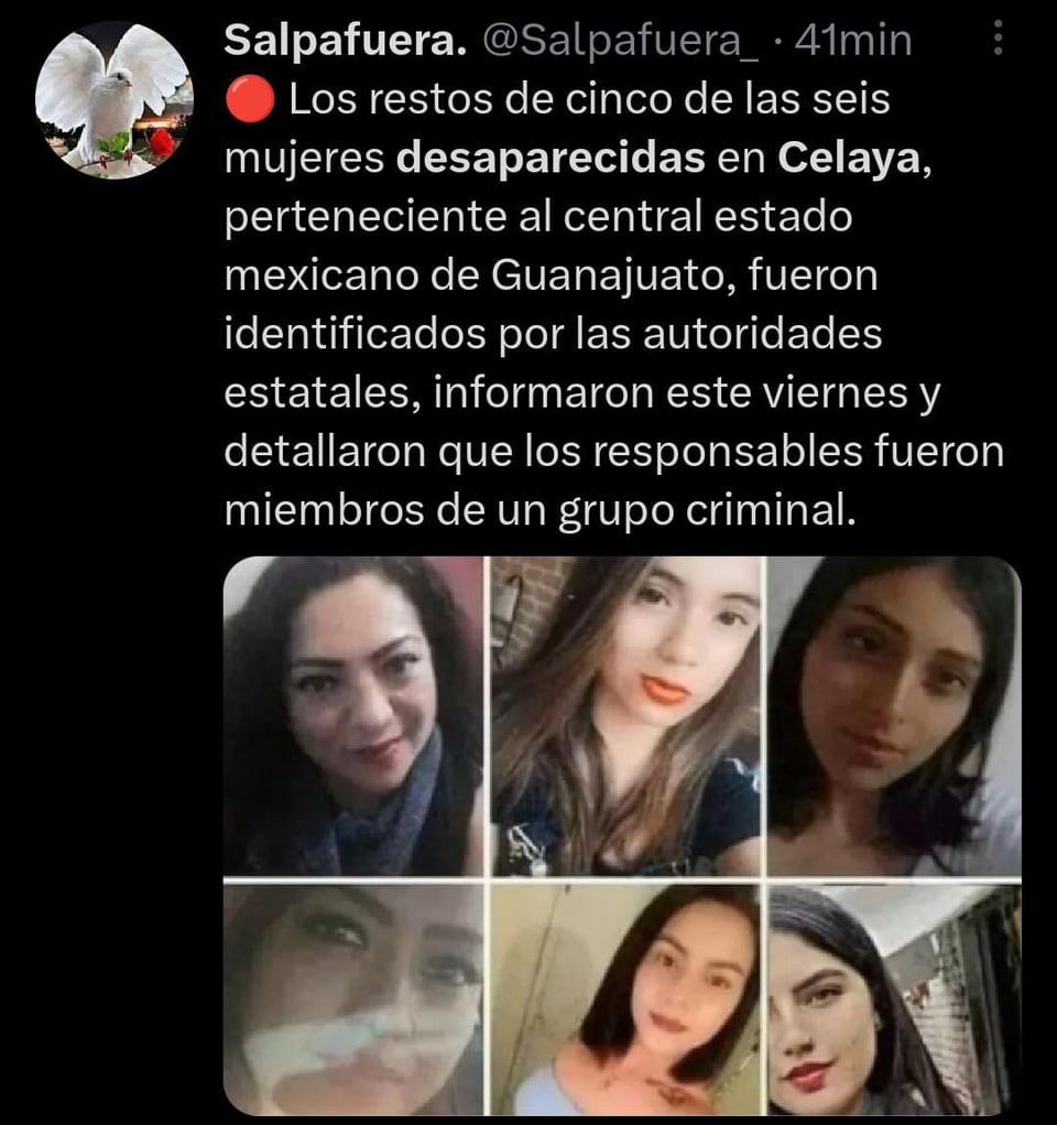 Fueron desaparecidas el 7 de marzo en Celaya y fueron localizadas en un municipio a 30 minutos de distancia