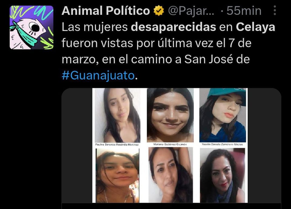 Cinco mujeres son asesinadas y quemadas en México tras desaparecer el 7 de marzo