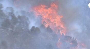 Ordenan evacuación incendio Colorado: ¿Qué provocó los incendios?
