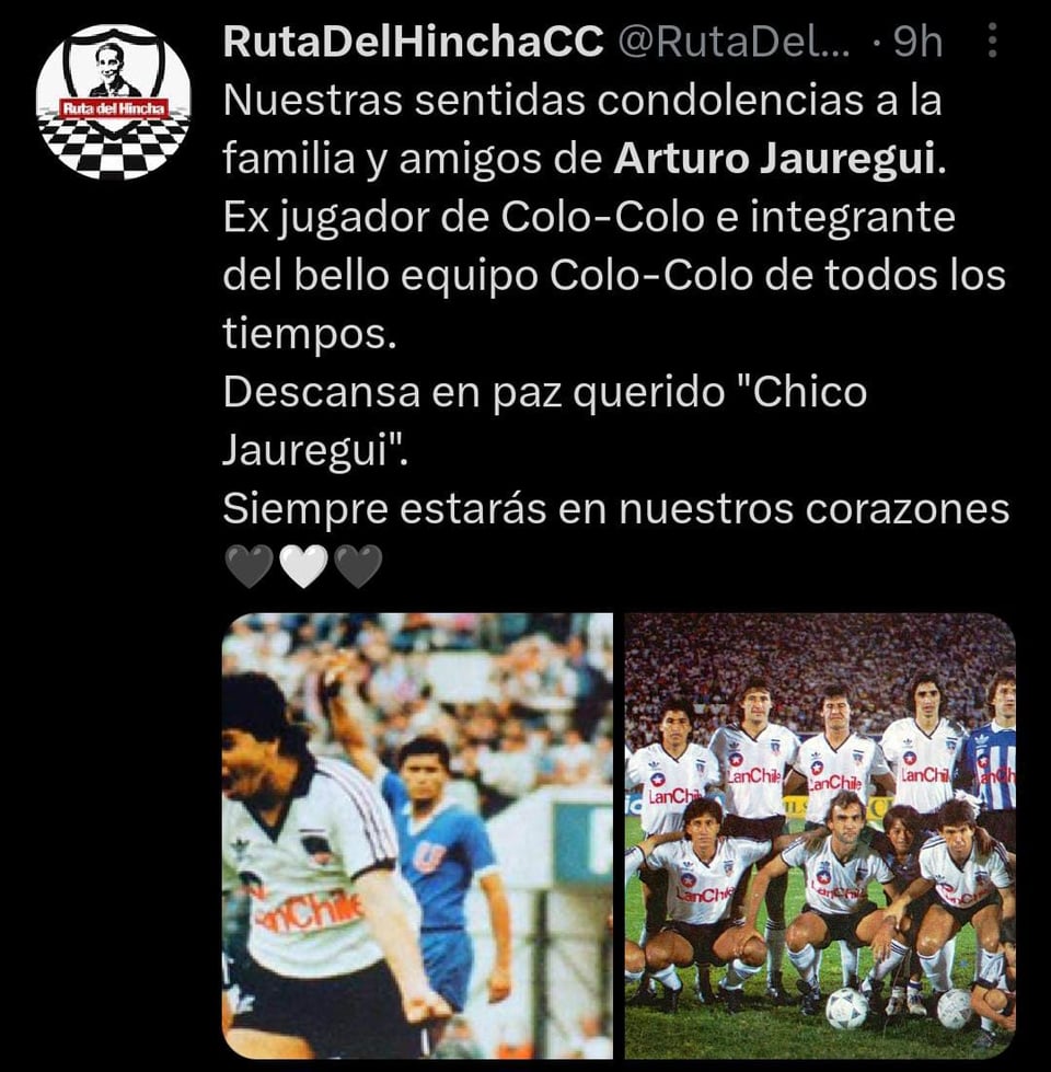 Su participación en el Colo Colo se destacó en su carrera, en el equipo ganó 3 títulos
