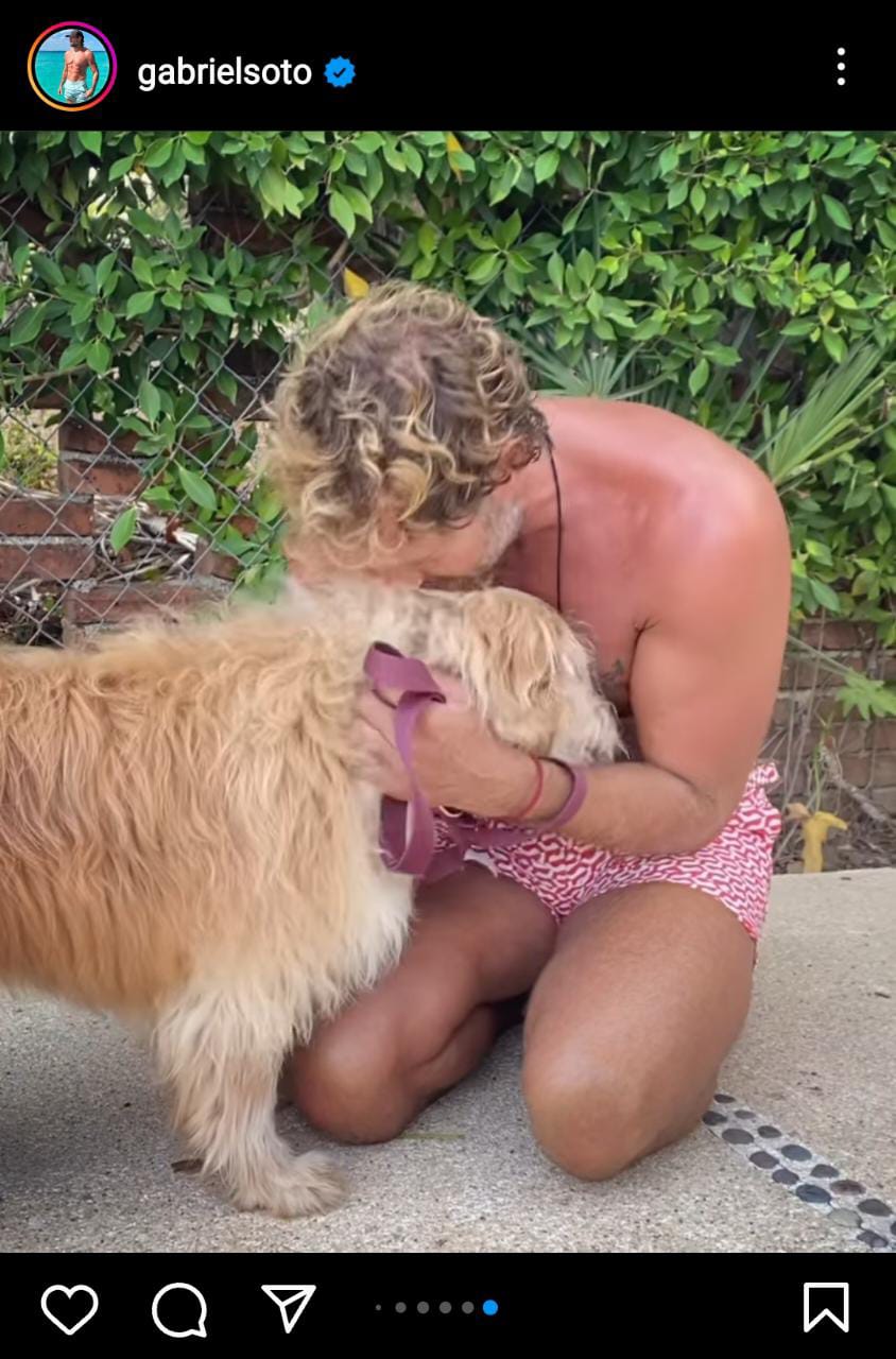Gabriel Soto se muestra de luto por la muerte de Sammy, su mascota