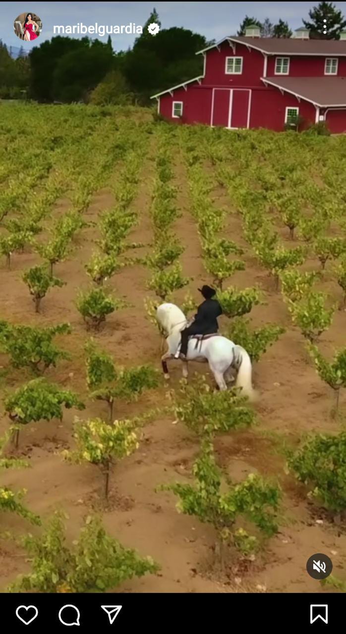 Maribel Guardia reveals never-before-seen video of Julián and they react to it