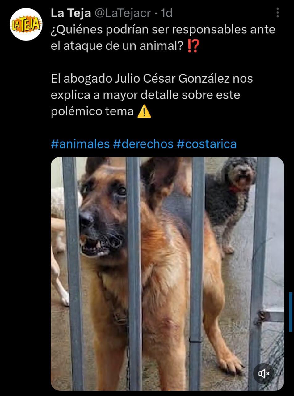Se conocían desde su nacimiento