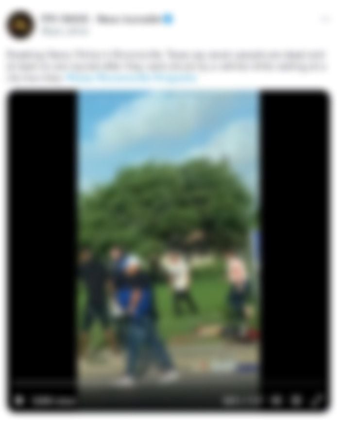 Videos hit and run immigrants Brownsville