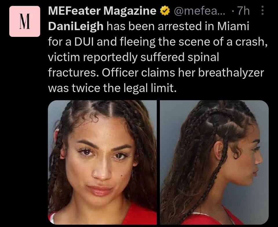 DaniLeigh arrested in Miami Beach hit-and-run