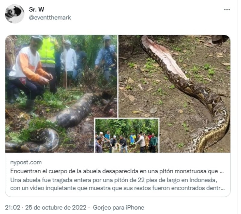 "everyone was amazed"