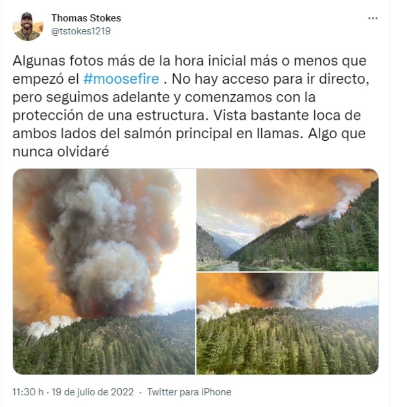 Los incendios forestales
