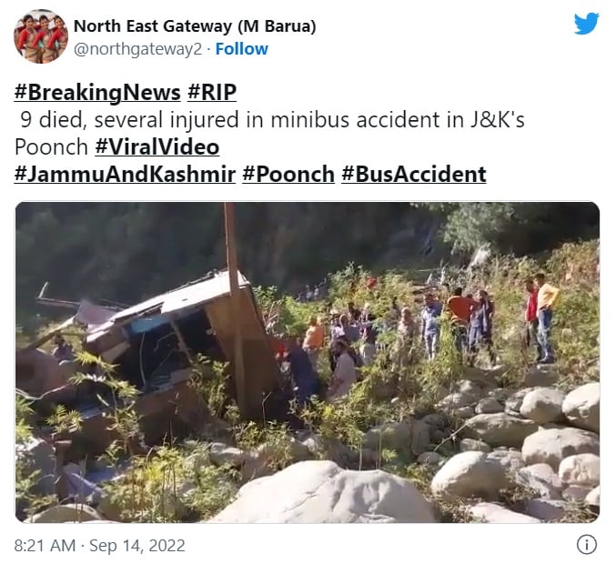 School bus falls down dead ravine
