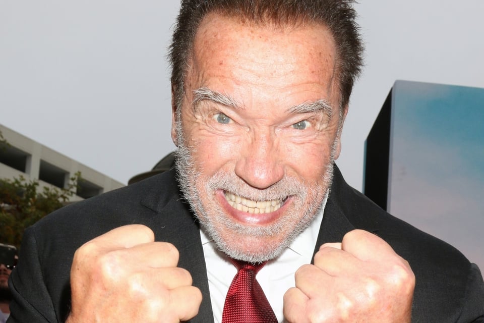 Detienen a Arnold Schwarzenegger, Aeropuerto Internacional de Alemania, Detención, MundoNOW