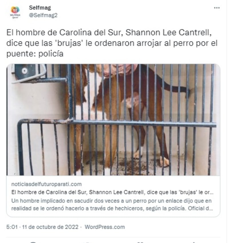 " El canino quedó claramente conmocionado"