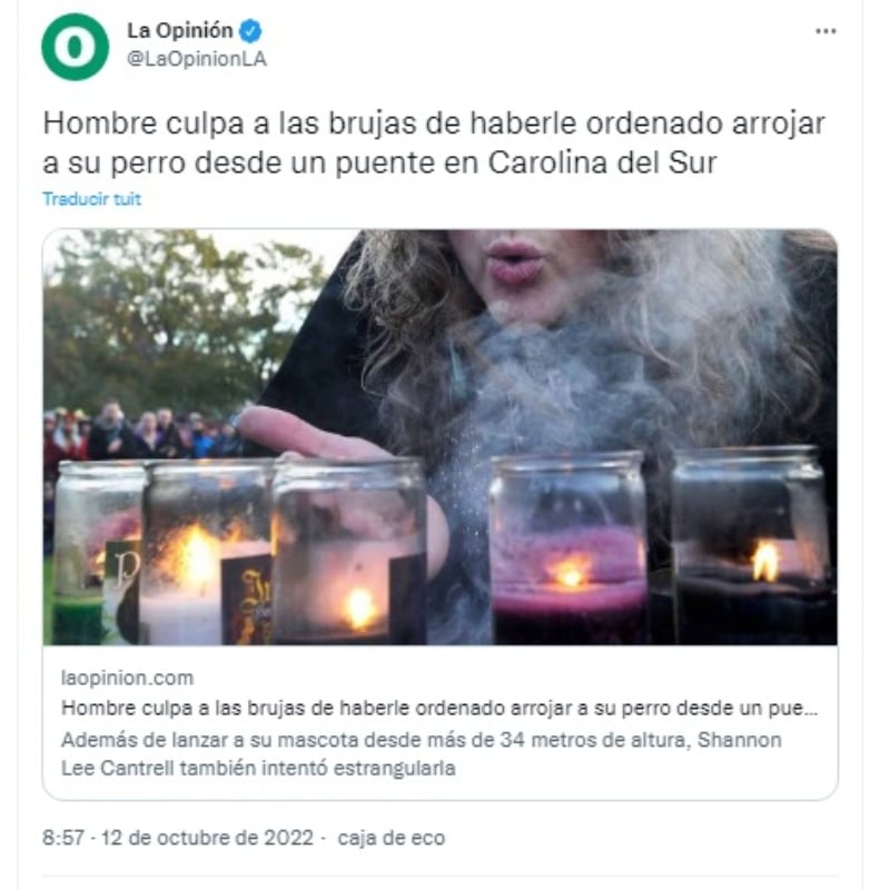 Hombre arroja perro brujas: "El perro fue arrojado dos veces"