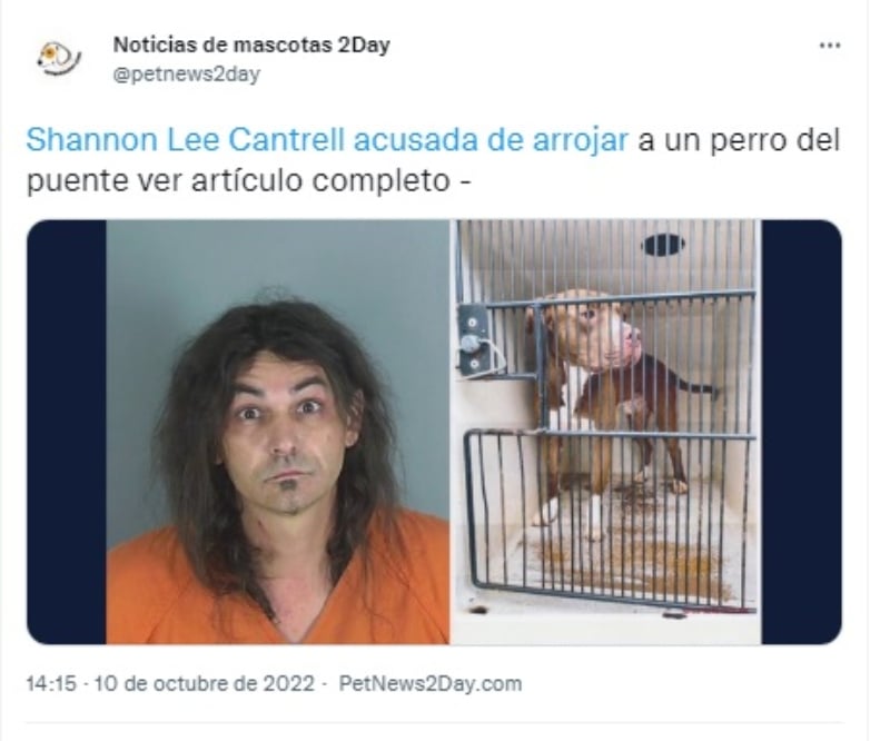 Hombre arroja a su perro desde puente por las brujas