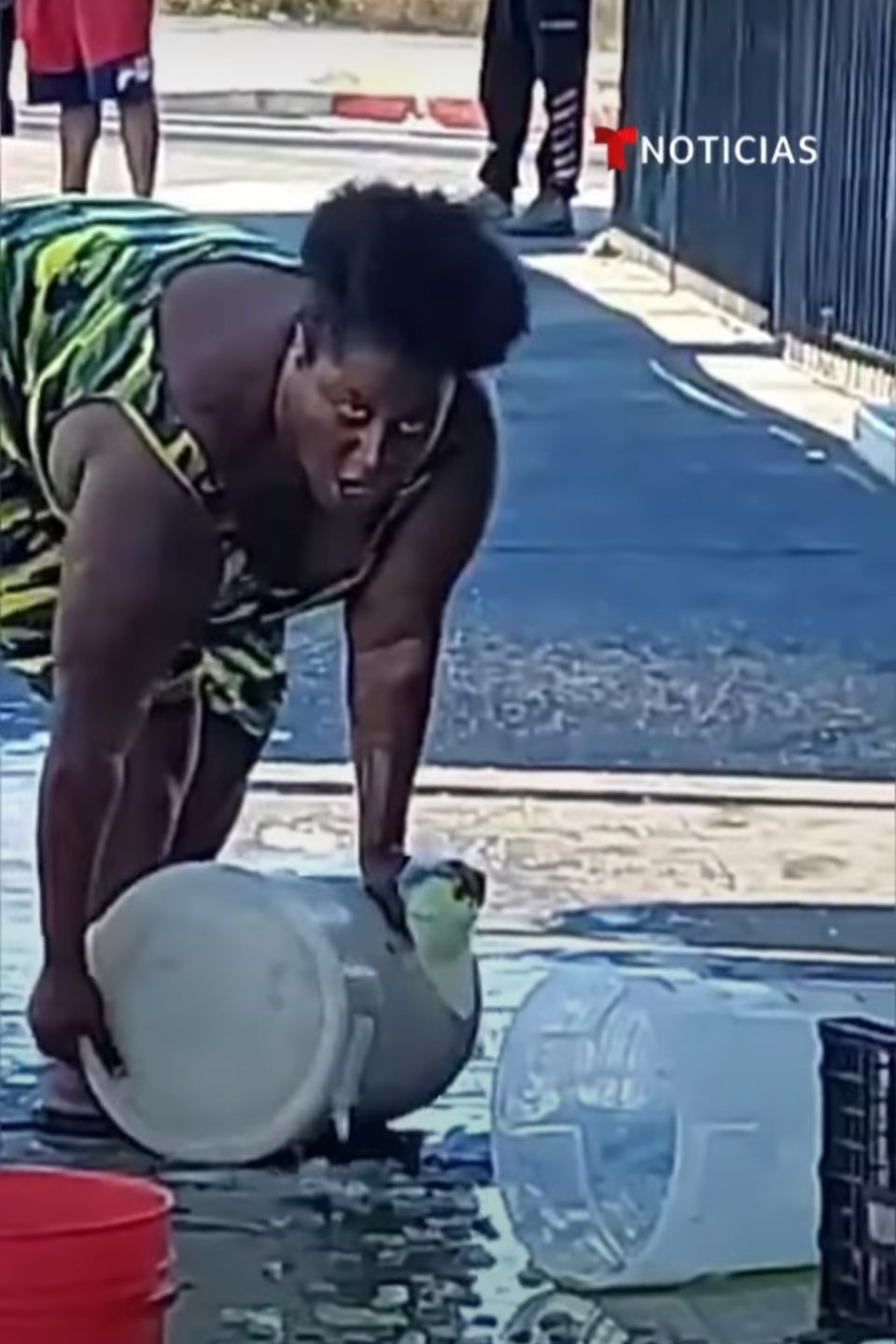 Mujer afroamericana ataca cruelmente a una vendedora de tacos