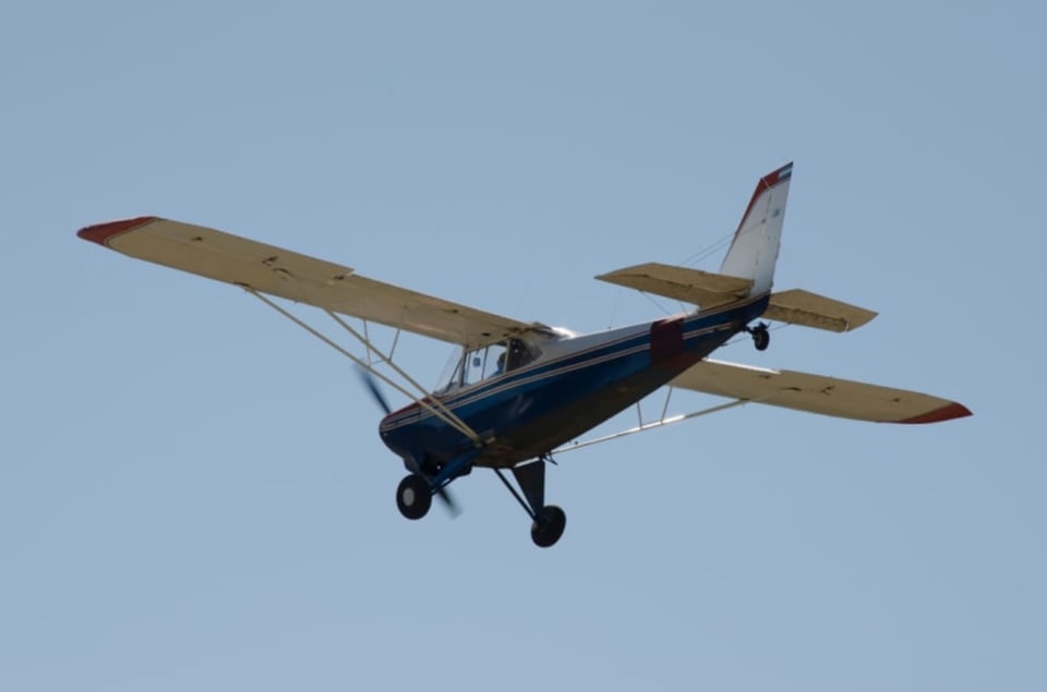Avión se estrella contra un árbol y deja saldo mortal featured image