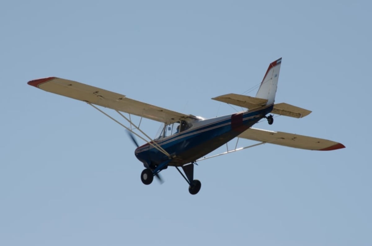 Avión estrella árbol Georgia