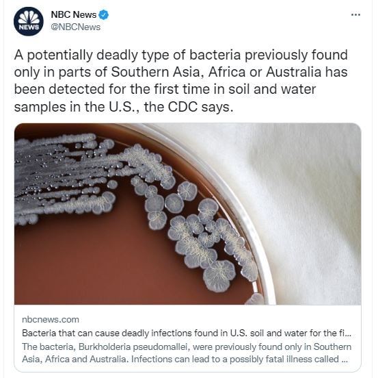 ¿Dónde se encontró la bacteria?