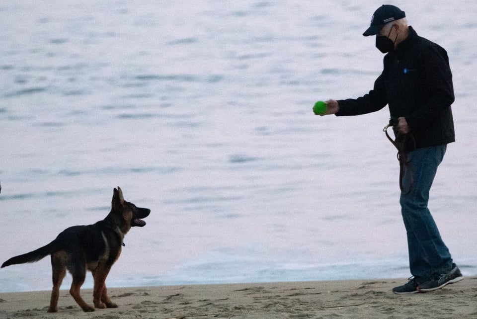 El perro del presidente Biden mordió a agentes del Servicio Secreto por lo menos 10 veces featured image
